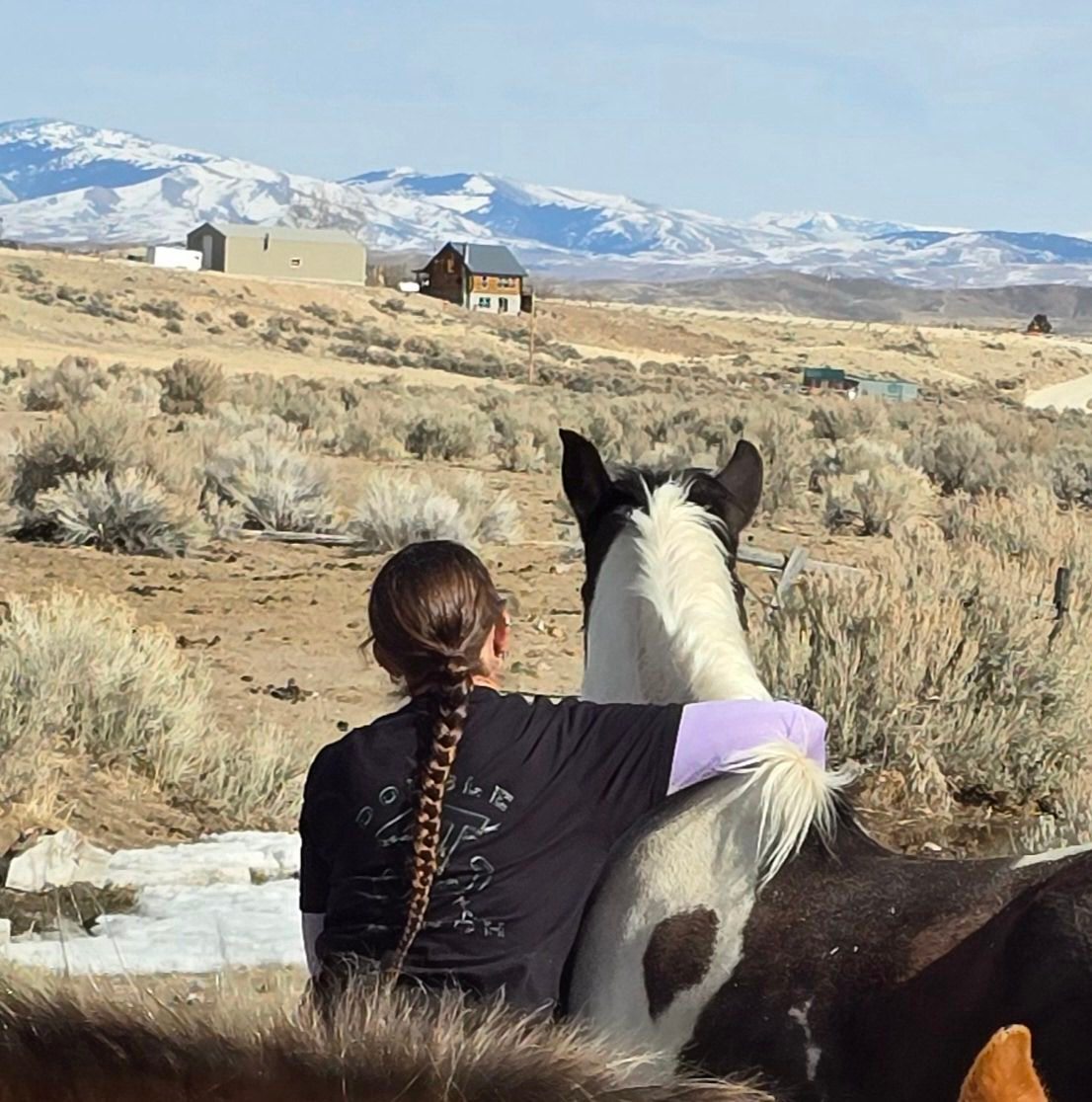A person with a braided hairstyle embraces a black and white horse while looking out over a landscape with mountains in the background and sparse vegetation.