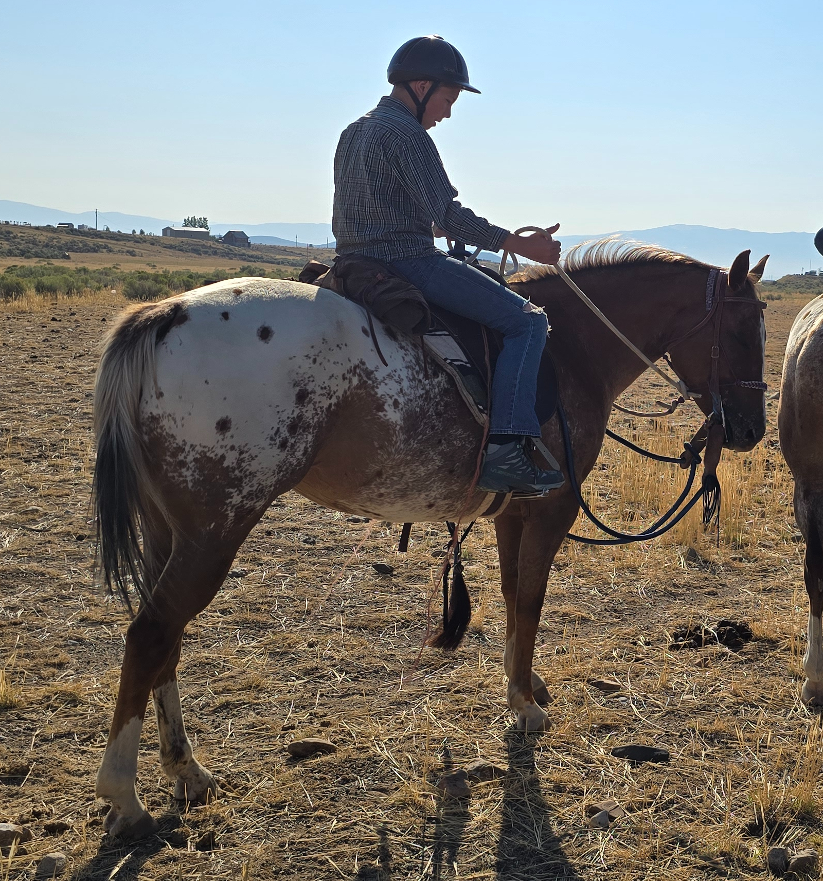 A rider in a helmet sitting on a speckled horse in a rural landscape, holding the reins with a focused expression.