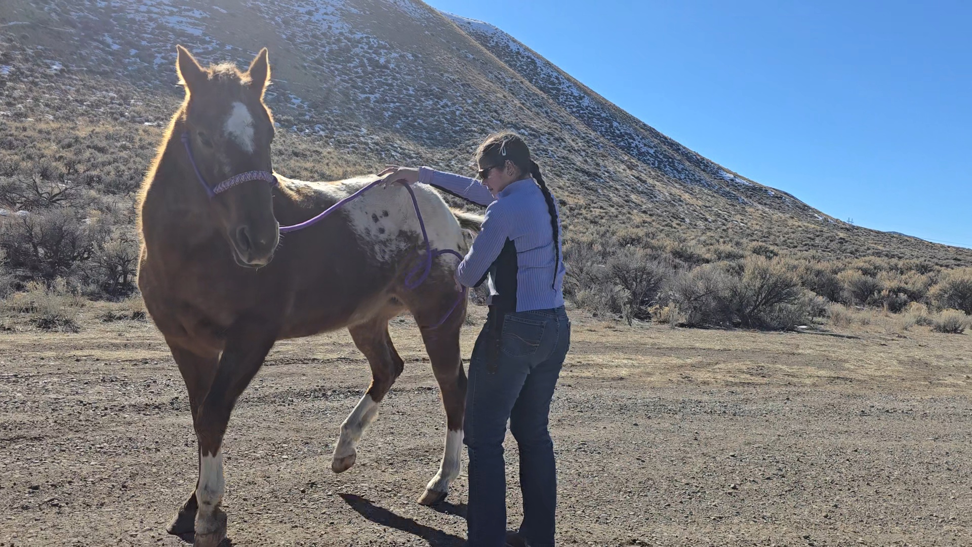 A person with a ponytail is grooming a brown and white horse on a gravel road in a mountainous area on a sunny day.