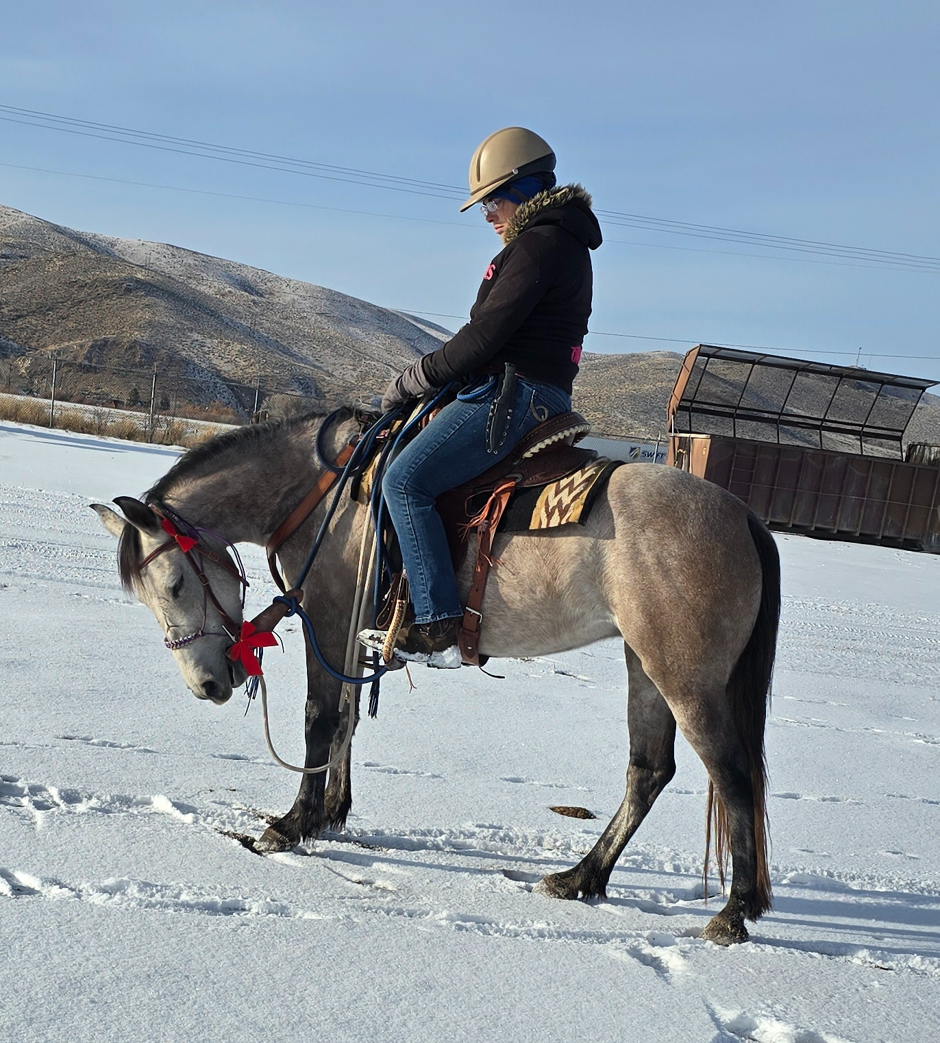A person wearing a helmet and winter clothing is riding a gray horse in a snowy landscape. The horse is wearing a red halter and appears to be looking down.